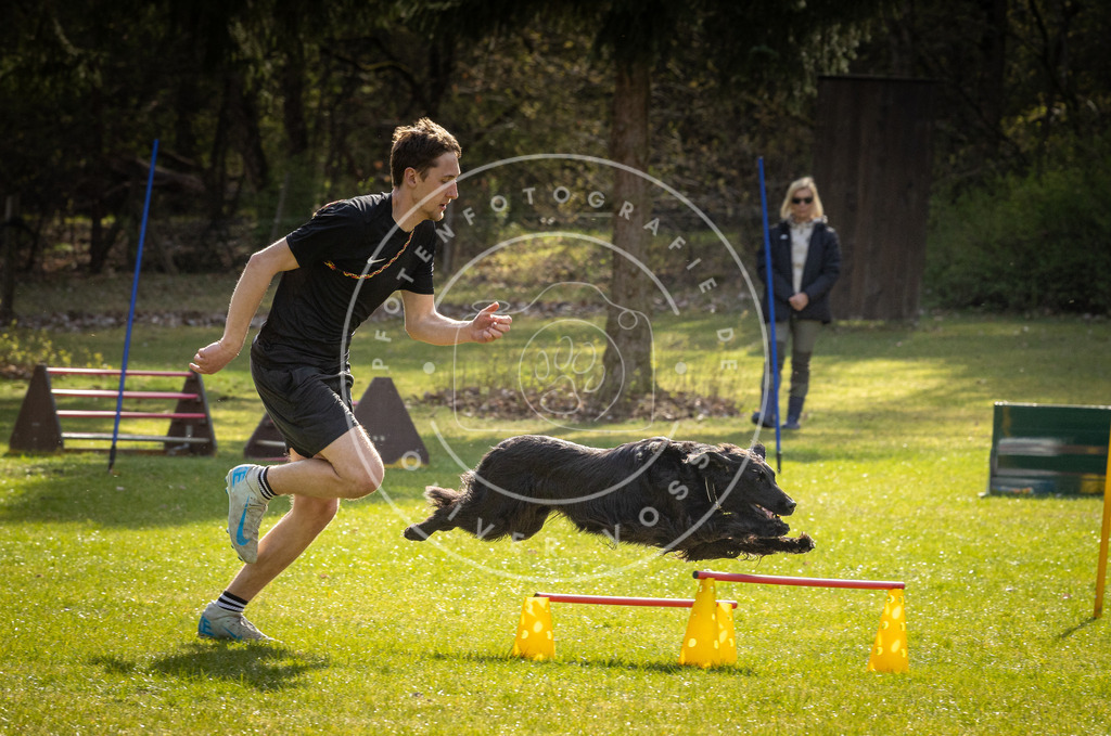 Pfotenfotografie_DV3A3114 | Hundefotografie, Tierfotograf, Pfotenfotografie, Fotoshooting Hund, Hunde Portrait, Hundesport, Hundeportraits, Heideshooting, Hunde, Sportfotograf, Hundefotograf, Turnierhundsport, THS,  - Realisiert mit Pictrs.com
