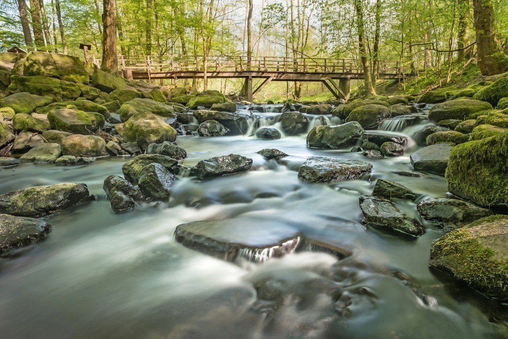 Holzbachschlucht, Gemünden | fototour-deutschland - Realisiert mit Pictrs.com