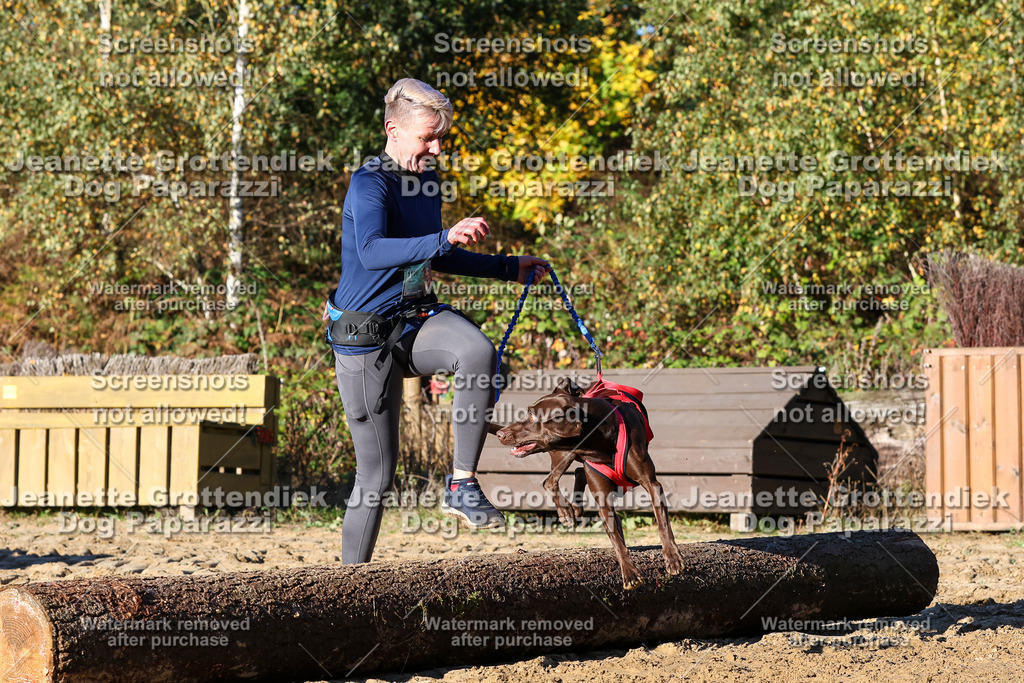 Dog Paparazzi - Strongdog 10-25-1473 | Dog Paparazzi Jeanette Grottendiek Fotografie & Videografie - Realisiert mit Pictrs.com