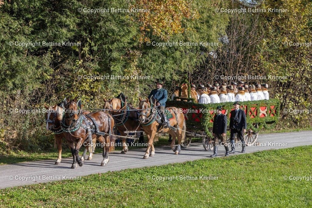 LBT24-249 | foto-bettina-krinner - Realisiert mit Pictrs.com