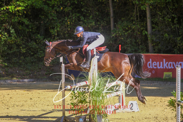 DKP42987 | Turnierfotos kaufen im Webshop von Daniel Kuhl Photography – entdecke professionelle Reitsportfotos aus Turnieren & Events. Hochwertige Turnierbilder online bestellen & sichern. Jetzt Fotos von Reitsportturnieren kaufen!