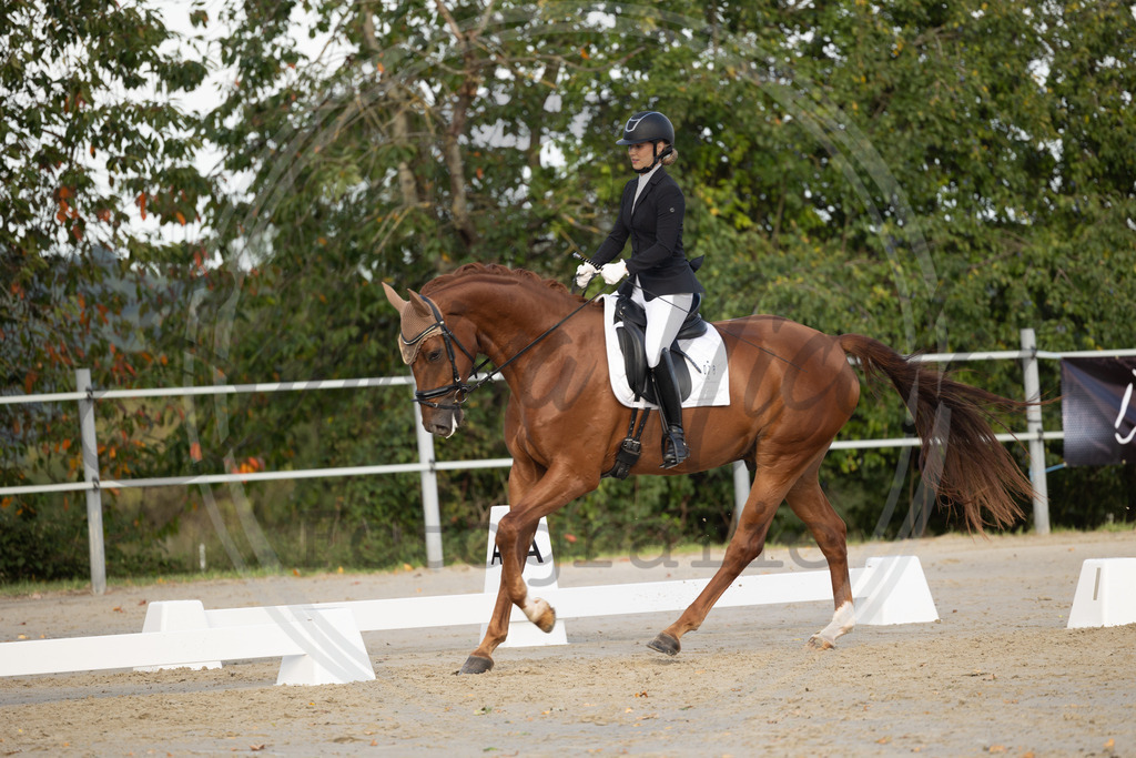 994A0351 | sabrinanicolaifotografie - Realisiert mit Pictrs.com