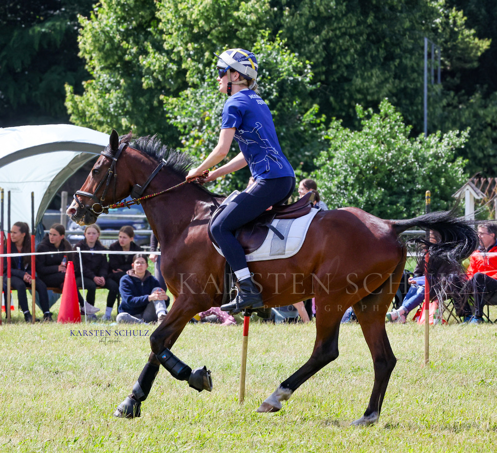1B3A4862 | Reitsport Reiten