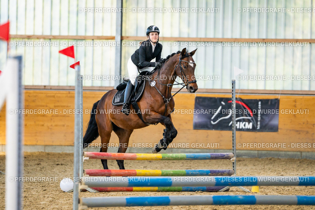 DSC01131 | Pferdegrafie