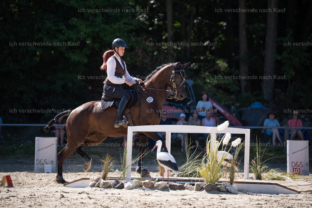 WL_SP_25_Stoibphotography_SO16355 | working equitationturnier fotograf videograf stoibphotography marixx film working equitation deutschland reitsport turnierfotografie eventfotografie equestrian events