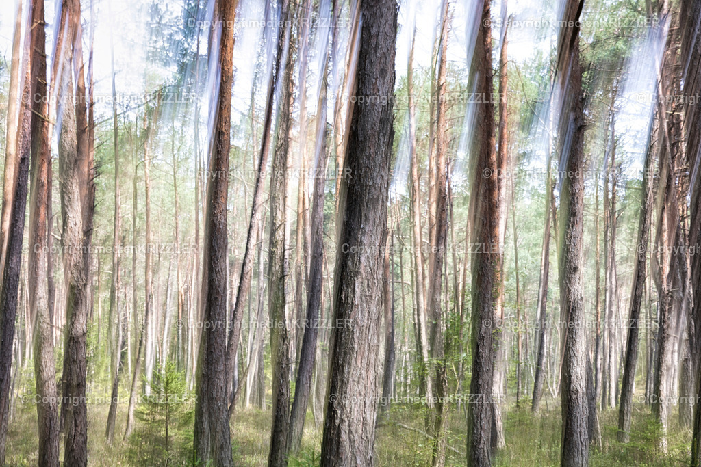 _J3A2278 | medienkrizzler - Realisiert mit Pictrs.com