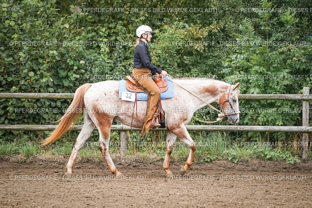 DSC01925 | Pferdegrafie