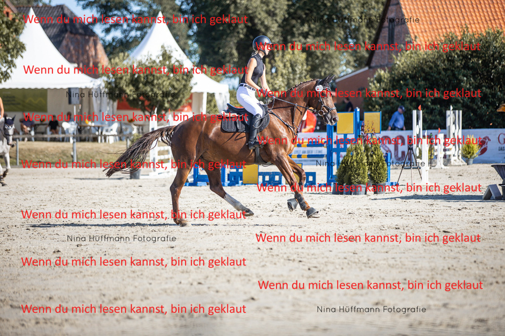 BK1A7290 | Turnierbilder Turnierfotos Nina Hüffmann Turnierfotografie Pferdefotografie Tierzeichnung Haustierzeichnung Pferdezeichnung Hundezeichnung Videograf  - Realisiert mit Pictrs.com