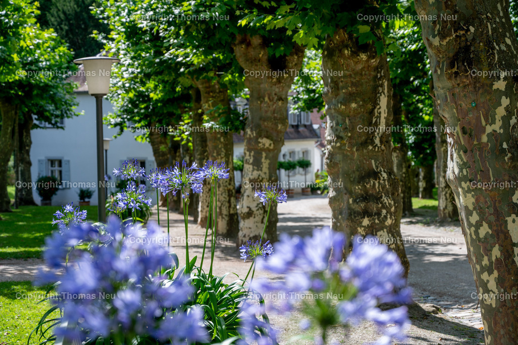 DSC_2618 | Der Staatspark Fürstenlager in Bensheim Auerbach, an der hessischen Bergstraße- ist ein wunderschöner Landschaftspark nach englischen Vorbild. Es war die Sommerresidenz der Darmstädter Fürstenfamilie die hier das "einfache Landleben" genossen. Zu jeder Jahreszeit kann man das Fürstenlager als Ausflugsziel empfehlen. Im Herrenhaus ist eine Gastronomie untergebracht. Im Sommer findet auf der Bühne vor der großen Wiese ein Opern-Air statt, 