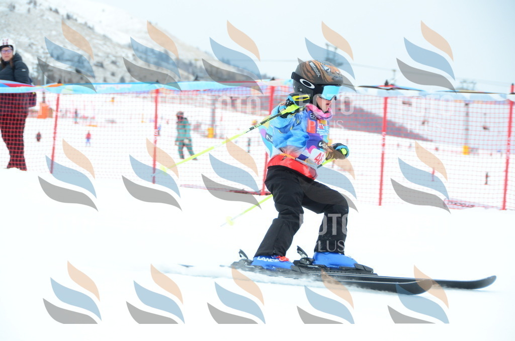 DSC_0937 | holidayphoto