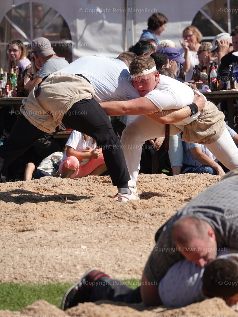 DSC05579 | Schwingen - Realisiert mit Pictrs.com