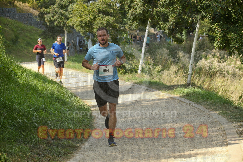 250824_1448_EX1_7650 | Sportfotografie im Rhein-Sieg Kreis, Köln, Bonn, NRW, Rheinland Pfalz, Hessen, etc. Unser Tätigkeitsfeld umfasst den Laufsport vom Volkslauf über den Marathon, Duathlon, Triathon bis zum Ultralauf wie Kölnpfad Ultra oder Schindertrail.