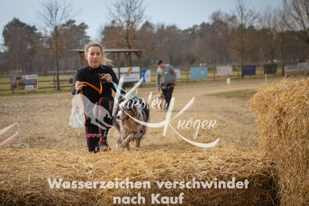 1128_ZZ93764 | kk-dogfotos