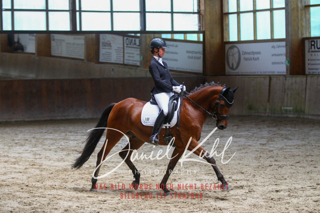 DKP43328 | Turniersportfotografie; Pferdefotografie; Dressurfotografie