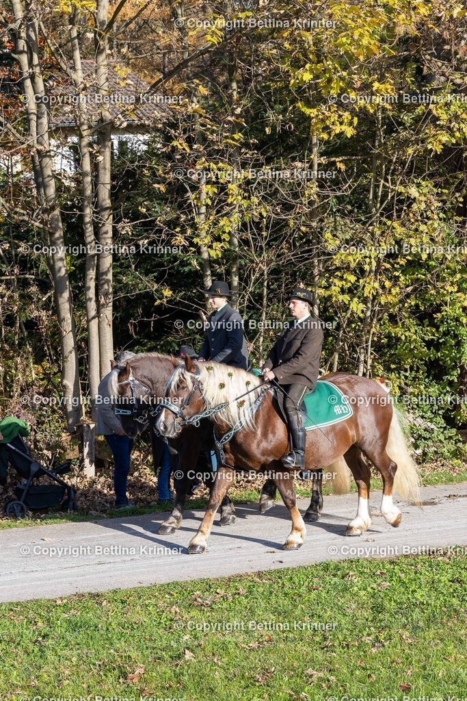 LBT24-377 | foto-bettina-krinner - Realisiert mit Pictrs.com