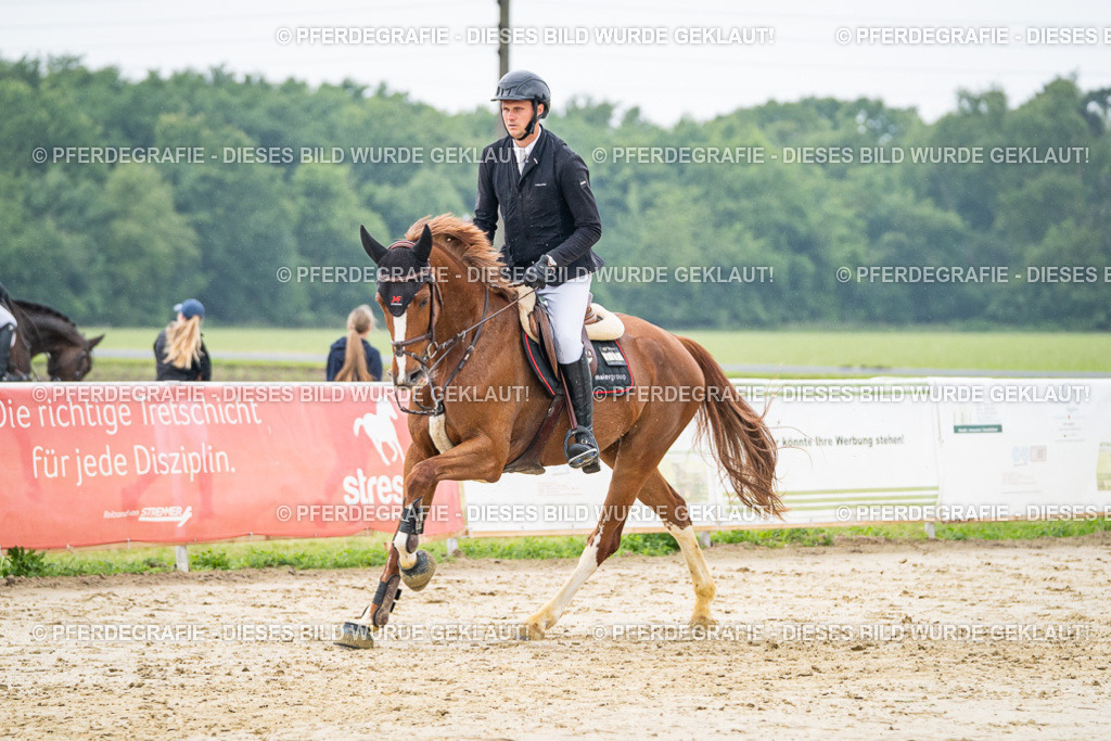 DSC00679 | Pferdegrafie