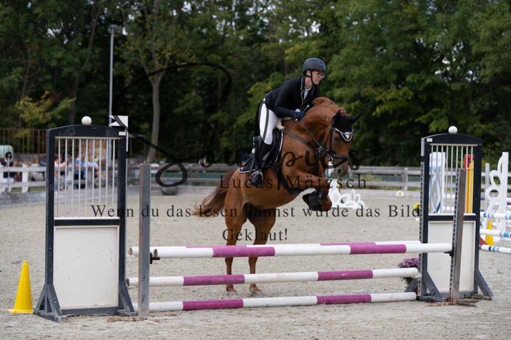 A7V07320 | Turnier/Reitfotograf