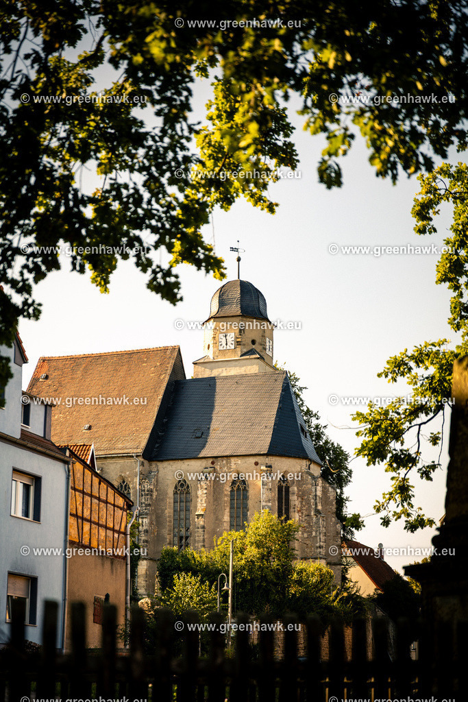 _MG_1487 | Greenhawks Bilder Shop für Landschaften, Urban, Tiere und weiteres als Poster Leinwand oder Fotogeschenk für Ostern Weihnachten oder Geburtstag  - Realisiert mit Pictrs.com