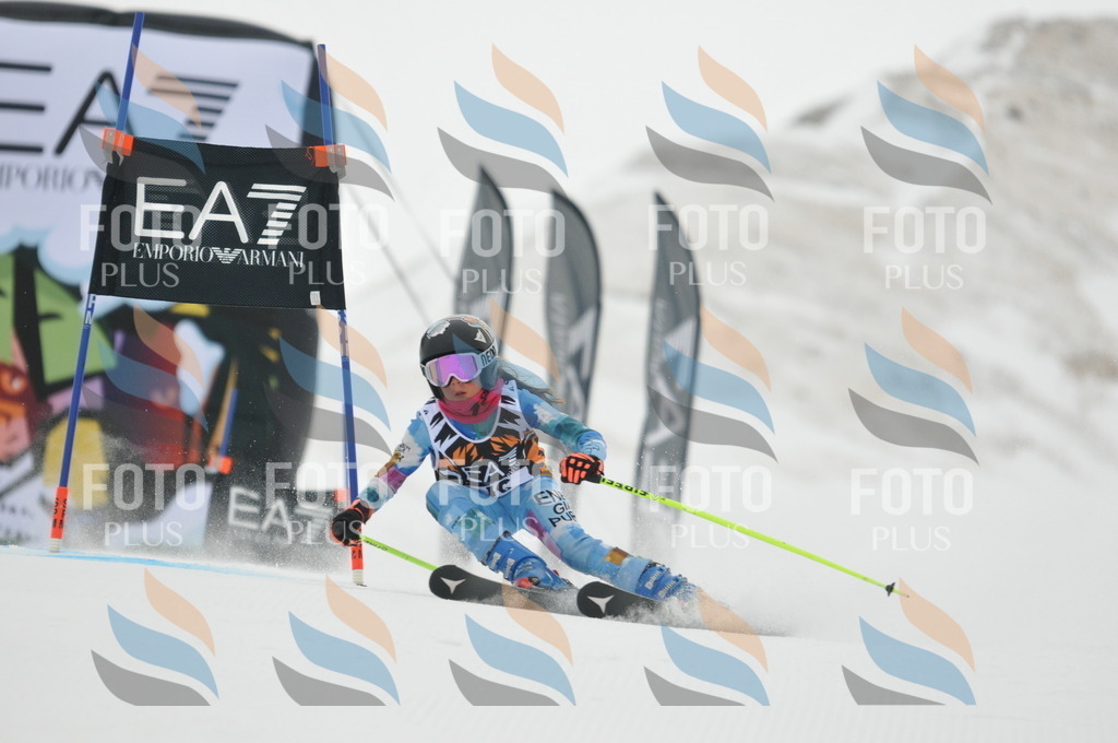 DSC_7427 | holidayphoto