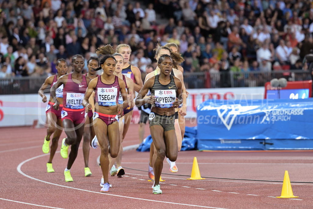Leichtathletik: Weltklasse Zürich | 08.09.2022, Zürich, Letzigrund, Leichtathletik: Weltklasse Zürich, KIPYEGON Faith (KEN) vor TSEGAY Gudaf (ETH) im 1500m-Lauf der Frauen. - Realisiert mit Pictrs.com