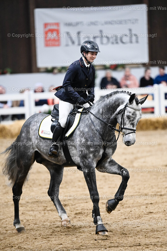 20260307_Hengstvorstellung-Marbach_0103 | equistock