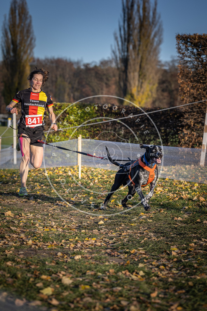 CaniXpix_DV3A3673 | Hundefotografie, Tierfotograf, Pfotenfotografie, Fotoshooting Hund, Hunde Portrait, Hundesport, Hundeportraits, Heideshooting, Hunde, Sportfotograf, Hundefotograf, Turnierhundsport, THS,  - Realisiert mit Pictrs.com
