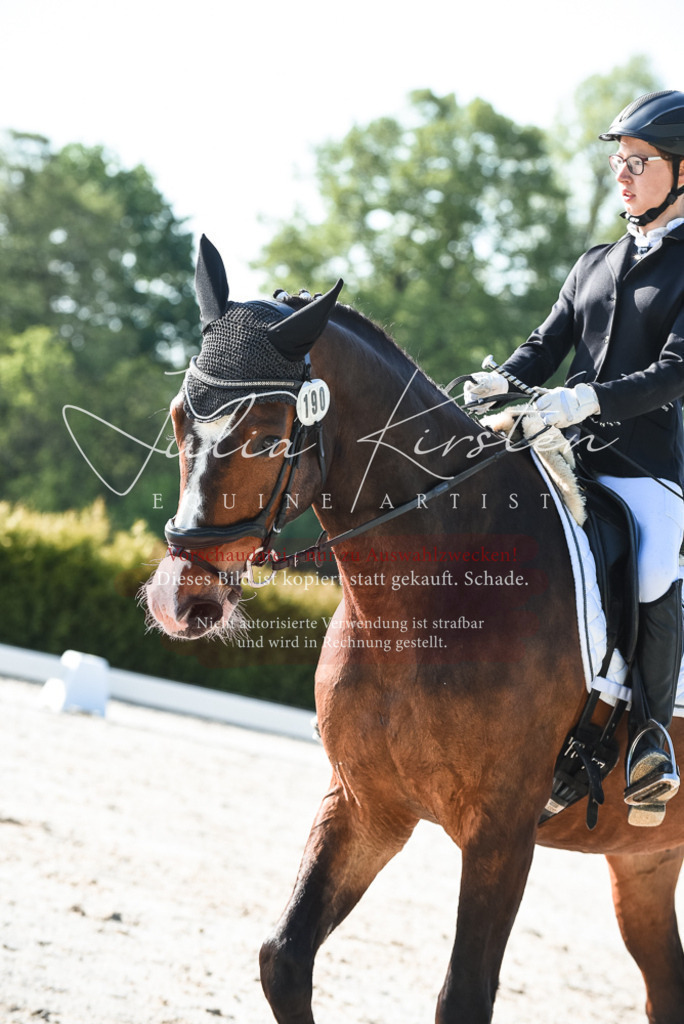 20230518_JK-Röhrsdorf-09-0478 | Pferde- und Turnierfotografie in Westsachsen. Pferdeportraits, Auftragszeichnungen und intuitive Kunst.