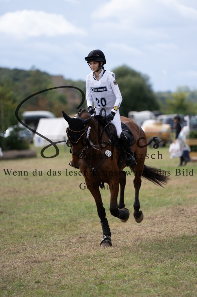 A7V00963 | Pferdefotograf