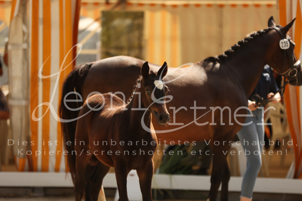 08.DoRPS00028 | Leoni Ertmer Photography - Realisiert mit Pictrs.com