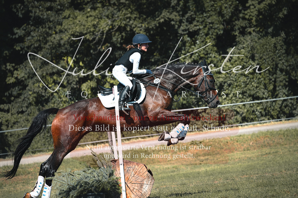 DSC_8013 | Pferde- und Turnierfotografie in Westsachsen. Pferdeportraits, Auftragszeichnungen und intuitive Kunst.