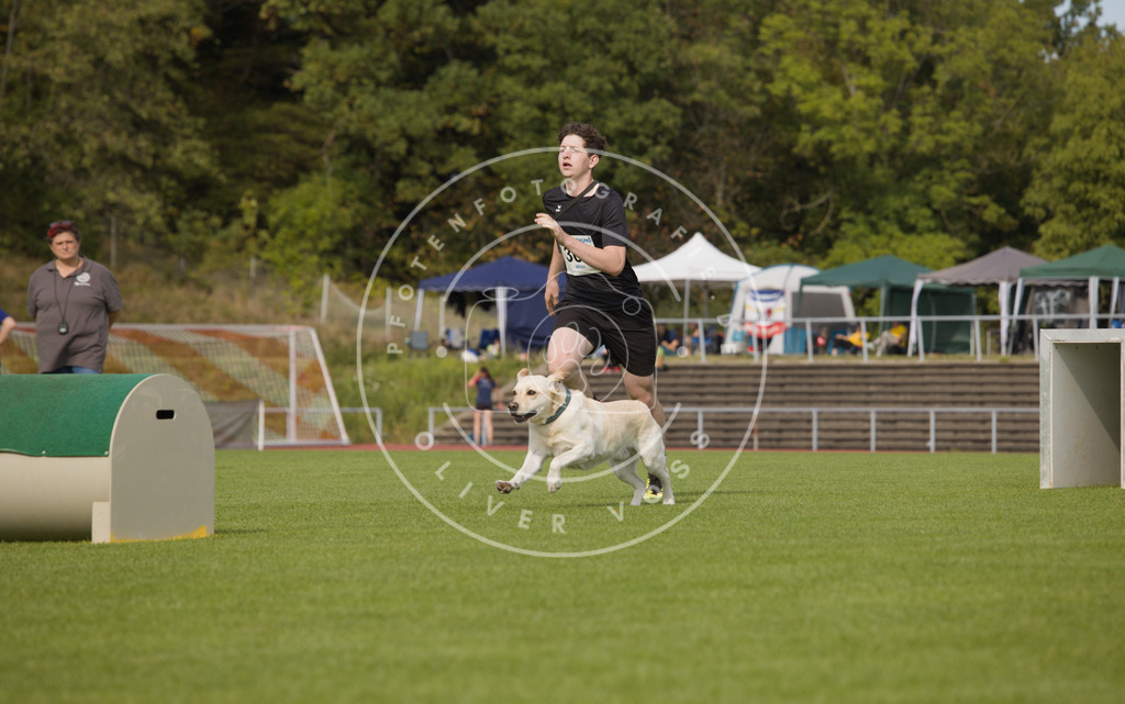 0L8A3575 | Hundefotografie, Tierfotograf, Pfotenfotografie, Fotoshooting Hund, Hunde Portrait, Hundesport, Hundeportraits, Heideshooting, Hunde, Sportfotograf, Hundefotograf, Turnierhundsport, THS,  - Realisiert mit Pictrs.com