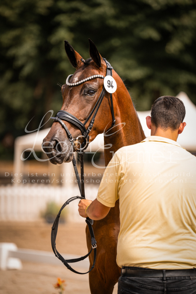 6.Fr00170 | Leoni Ertmer Photography - Realisiert mit Pictrs.com