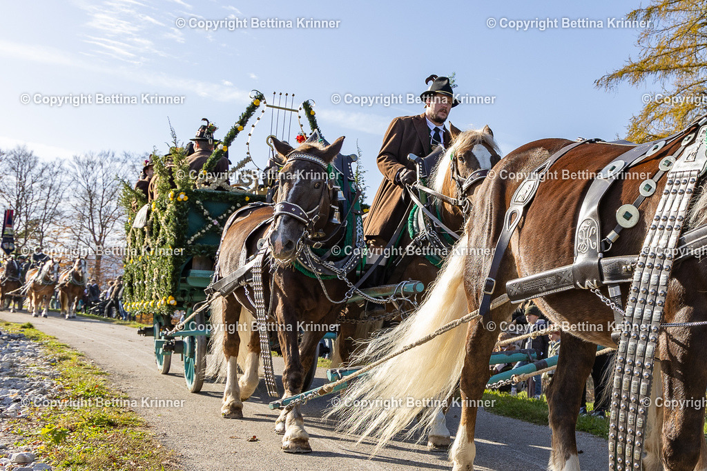 LBT24-1157 | foto-bettina-krinner - Realisiert mit Pictrs.com