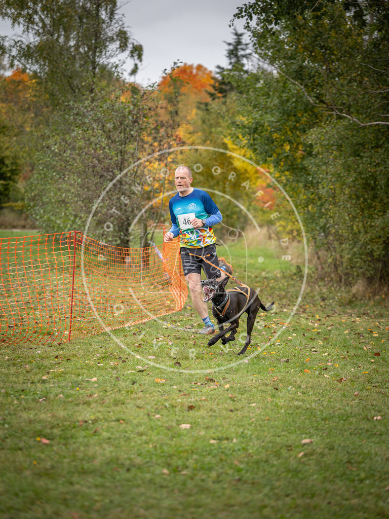 Pfotenfotografie_DV3A2397 | Hundefotografie, Tierfotograf, Pfotenfotografie, Fotoshooting Hund, Hunde Portrait, Hundesport, Hundeportraits, Heideshooting, Hunde, Sportfotograf, Hundefotograf, Turnierhundsport, THS,  - Realisiert mit Pictrs.com