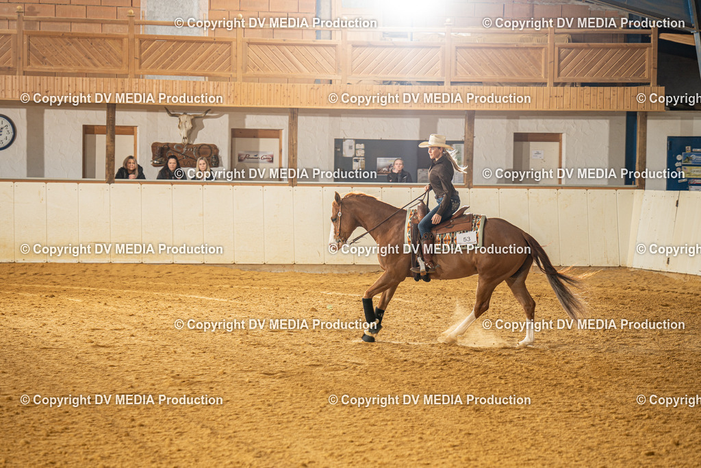 MIT00642 | dv-media-shop - Realisiert mit Pictrs.com