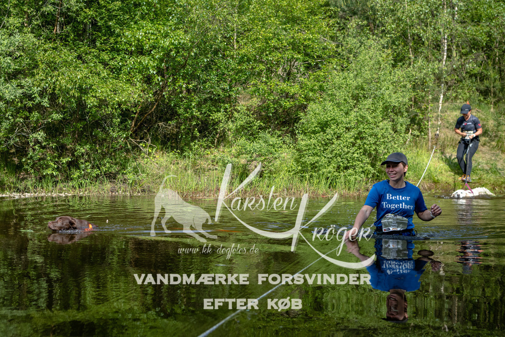 0947DKK9_ZZ93078 | kk-dogfotos