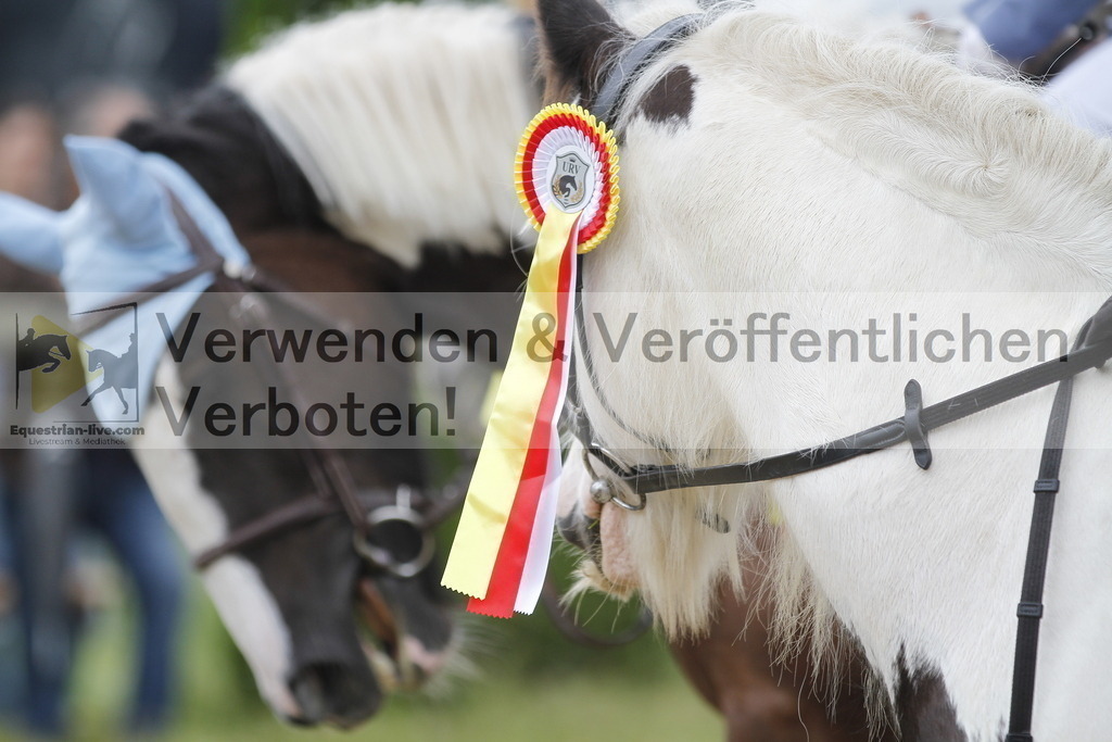 _MG_8377 | equestrian-live-com