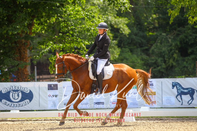 DKP42410 | Turniersportfotografie; Pferdefotografie; Dressurfotografie