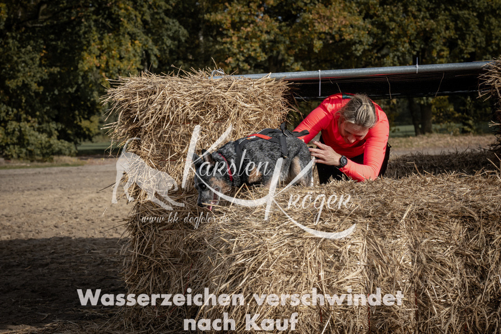 1215_ZZ93833 | kk-dogfotos