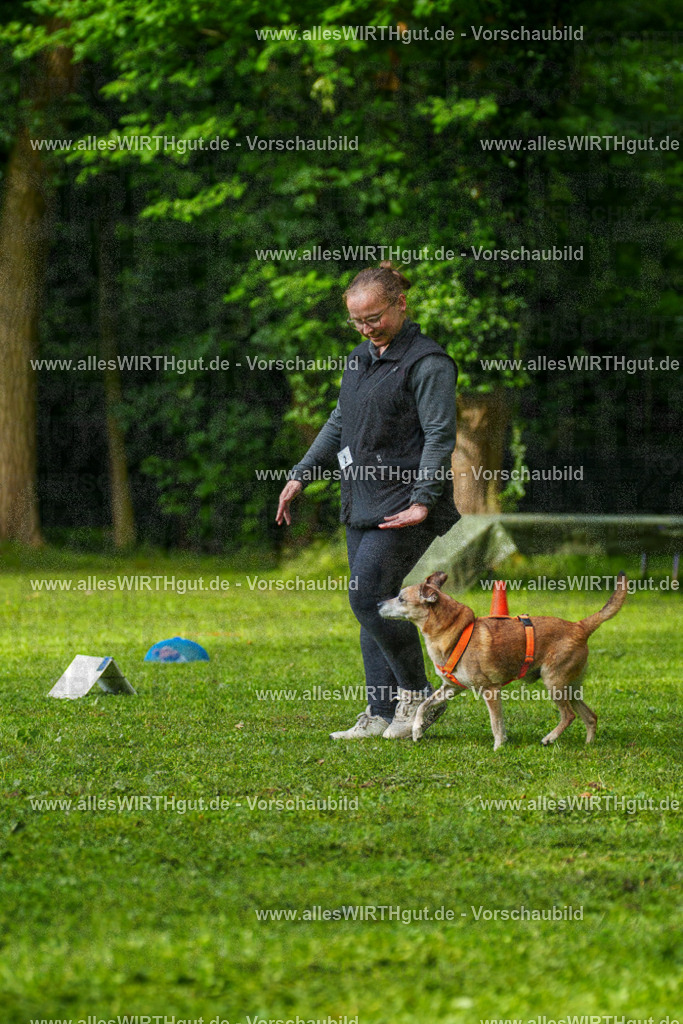 @allesWIRTHgut_Tierfotografie - www.allesWIRTHgut.de - 7R502012 | Professionelle Tierfotografie in Mönchengladbach von Daniel Wirth (allesWIRTHgut). Liebevolle & natürliche Bilder von Hunden & Katzen für unvergessliche Erinnerungen.