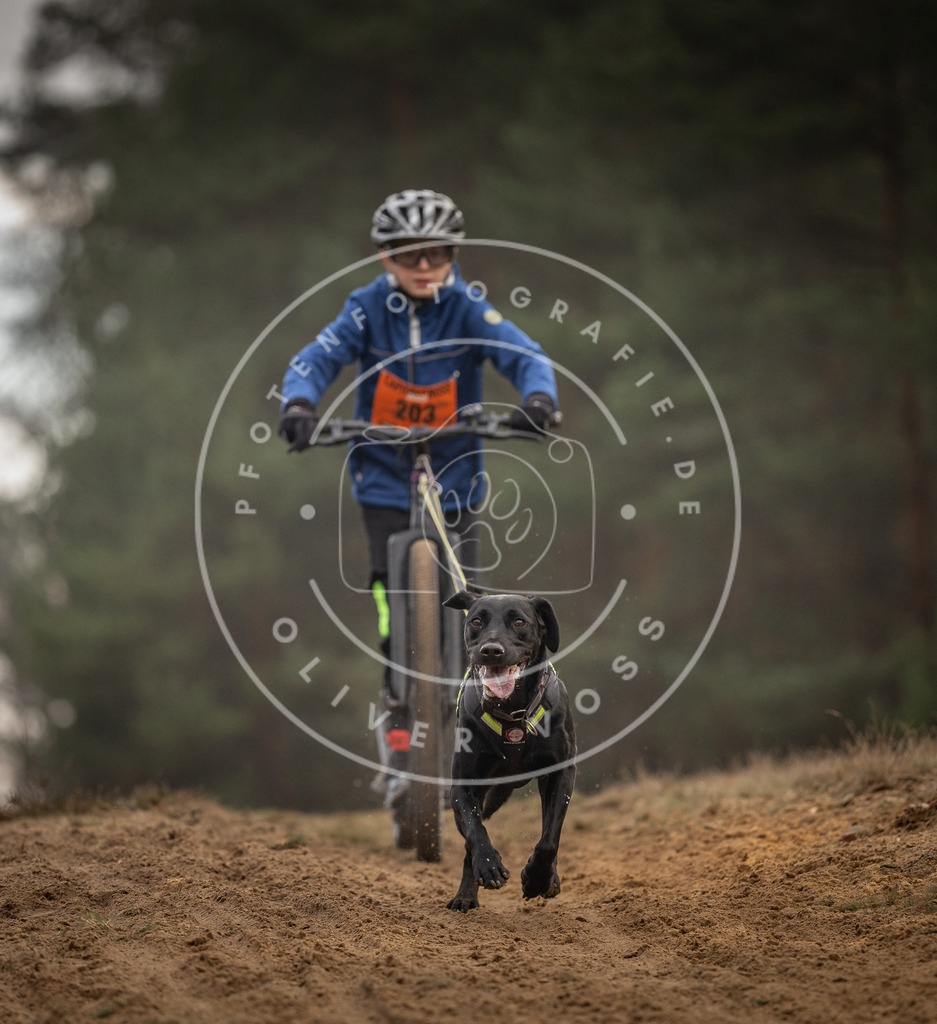 Pfotenfotografie_DV3A5033 | Hundefotografie, Tierfotograf, Pfotenfotografie, Fotoshooting Hund, Hunde Portrait, Hundesport, Hundeportraits, Heideshooting, Hunde, Sportfotograf, Hundefotograf, Turnierhundsport, THS,  - Realisiert mit Pictrs.com