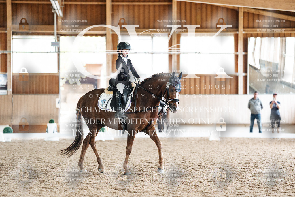 CK901628 | Turnierfotografie Pferdefotografie Trier Rheinland-Pfalz Pferdesport Reitsport Tierfotografie Sportfotografie Pferdevideo Pferdevideografie Equestrianvideography equestrianphotography  - Realisiert mit Pictrs.com