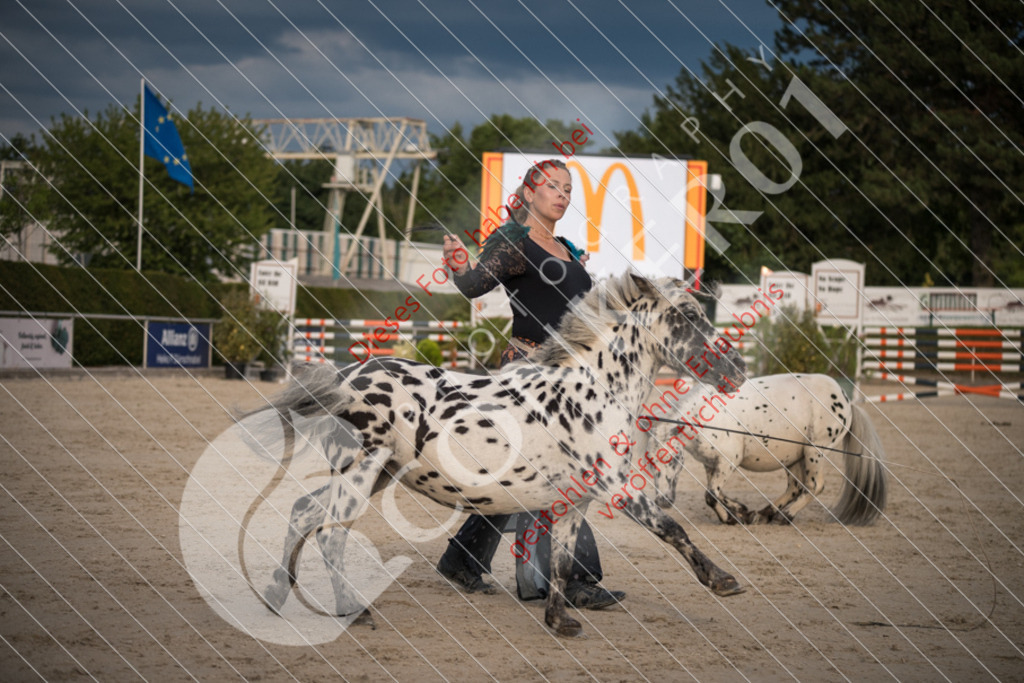 DSC_9999 | Sport-, Event- und Tierfotos in Profiqualität. Einfach auswählen, bestellen und herunterladen. Dein Moment – perfekt festgehalten.