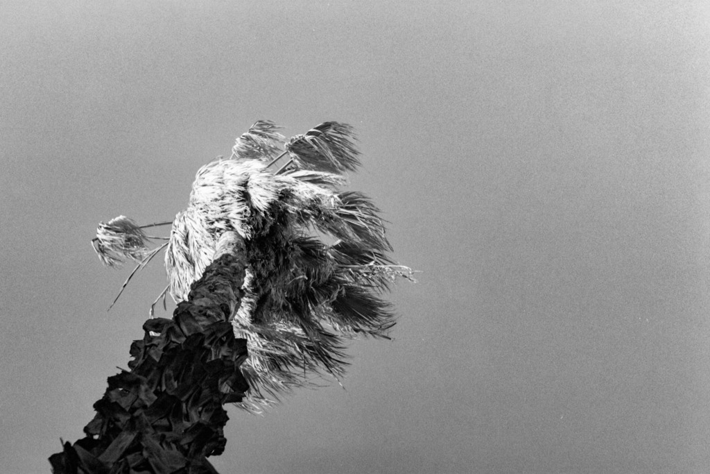 Jaffa, Israel | Online Shop für Christen: Christliche Poster XXL, Plakate, Wandbilder als Leinwand & christliche Postkarten, Kalender, Sticker & Lizenzen zum Download. Die Kunstwerke im christliche Geschenke Shop zeigen die Jahreslosung 2025, Gott, Jesus & mehr.