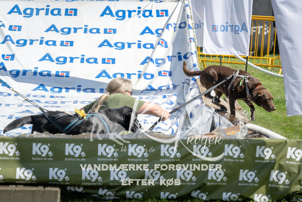 1145_ZZ93911 | kk-dogfotos