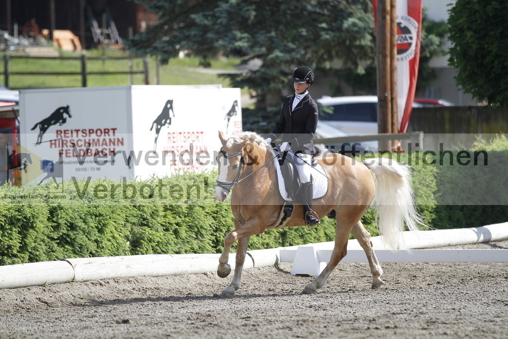 _MG_9490 | equestrian-live-com