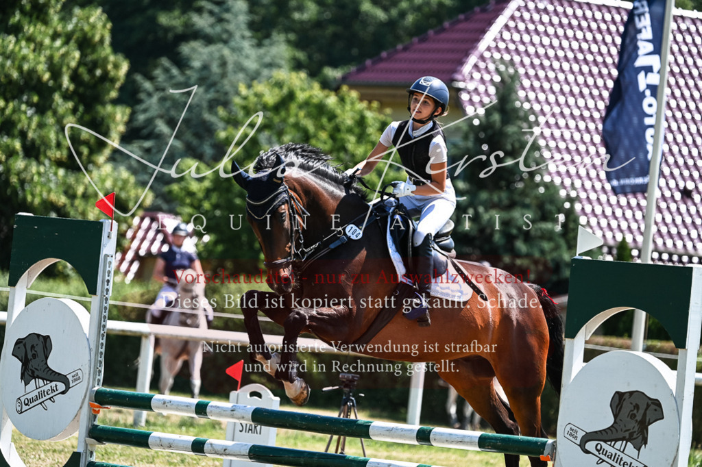DSC_0517 | Pferde- und Turnierfotografie in Westsachsen. Pferdeportraits, Auftragszeichnungen und intuitive Kunst.