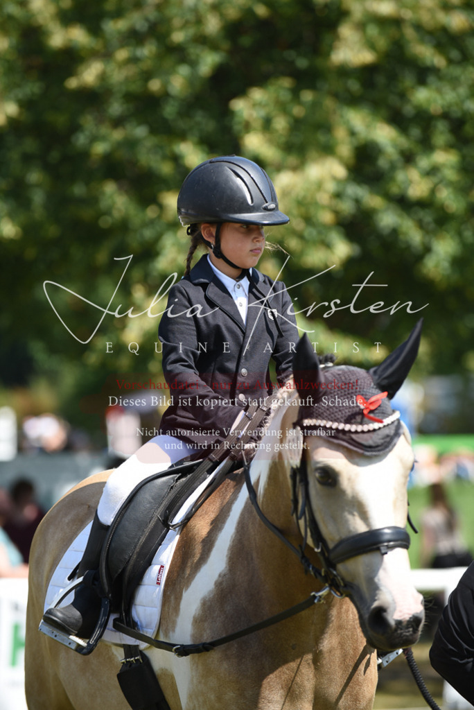 DSC_9826 | Pferde- und Turnierfotografie in Westsachsen. Pferdeportraits, Auftragszeichnungen und intuitive Kunst.