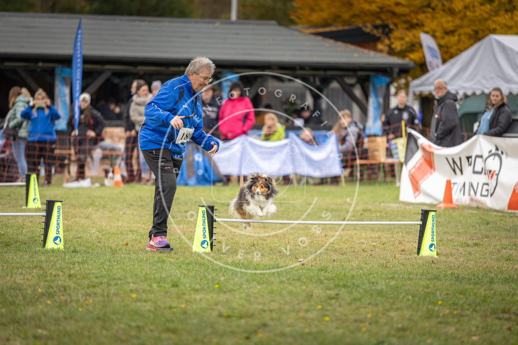 Pfotenfotografie_DV3A5084 | Hundefotografie, Tierfotograf, Pfotenfotografie, Fotoshooting Hund, Hunde Portrait, Hundesport, Hundeportraits, Heideshooting, Hunde, Sportfotograf, Hundefotograf, Turnierhundsport, THS,  - Realisiert mit Pictrs.com