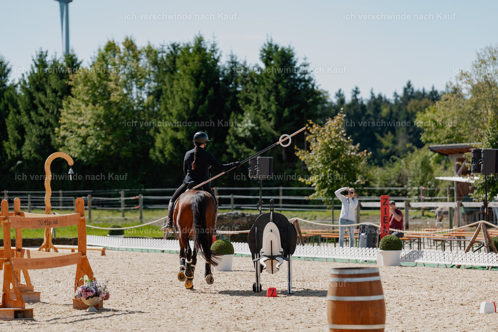 Nadine22_FHC2025-72 | working equitationturnier fotograf videograf stoibphotography marixx film working equitation deutschland reitsport turnierfotografie eventfotografie equestrian events
